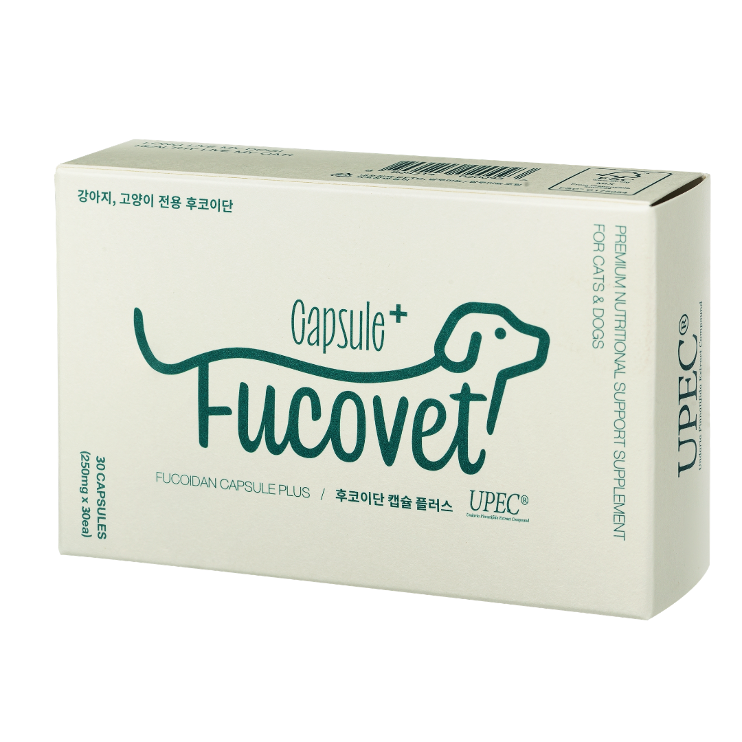 FucoVet Fucoidan Capsules