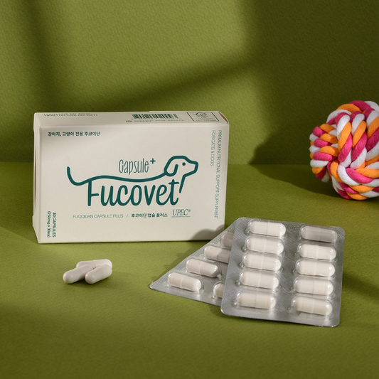 FucoVet Fucoidan Capsules