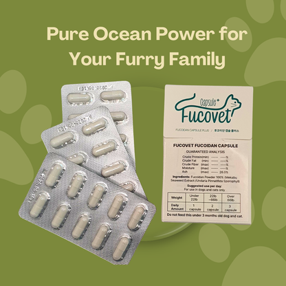 FucoVet Fucoidan Capsules